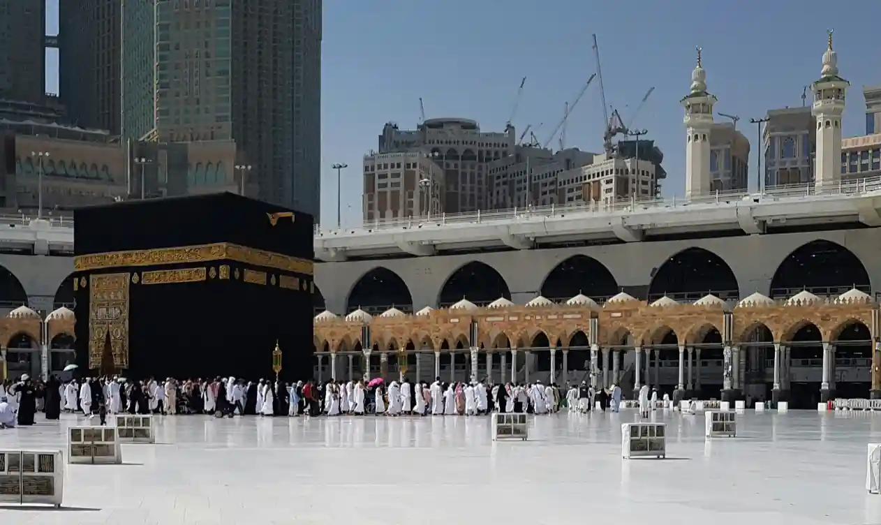 Follow the Creator, Not the Crowd